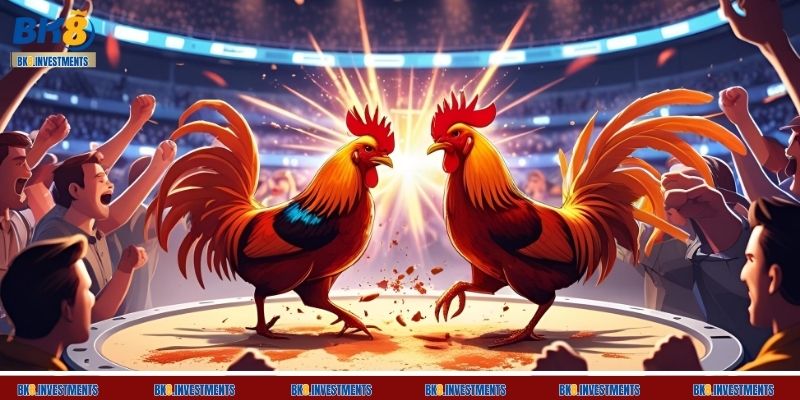 Hệ thống tại BK8 hỗ trợ phát trực tiếp 100% các trận đấu