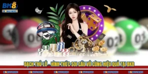 Bạch Thủ Lô - Hình Thức Soi Cầu Vô Cùng Hiệu Quả Tại BK8