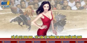 Đá Gà Cựa Dao BK8 - Tất Tần Tật Thông Tin Cho Người Mới Chơi