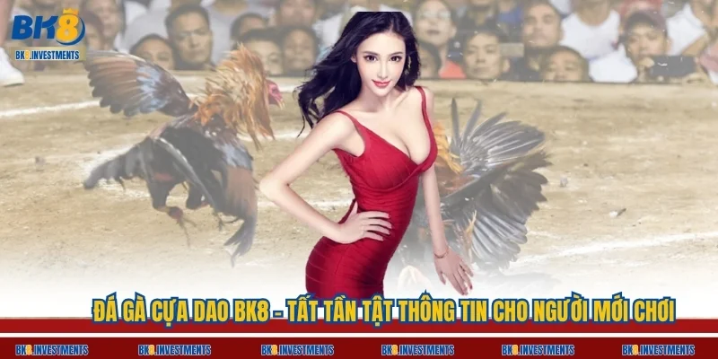 Đá Gà Cựa Dao BK8 - Tất Tần Tật Thông Tin Cho Người Mới Chơi