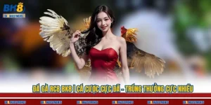 Đá Gà RCB BK8 | Cá Cược Cực Đã - Trúng Thưởng Cực Nhiều
