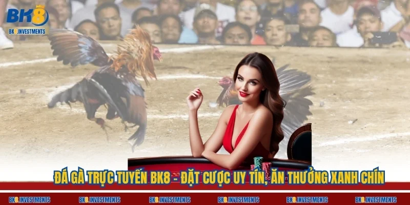 Đá Gà Trực Tuyến BK8 - Đặt Cược Uy Tín, Ăn Thưởng Xanh Chín