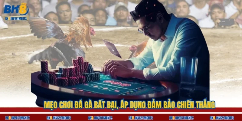 Mẹo Chơi Đá Gà Bất Bại, Áp Dụng Đảm Bảo Chiến Thắng